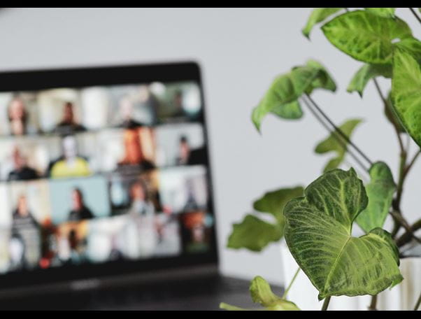 Hyrbid event with people in an online meeting on laptop with a plant in foreground 