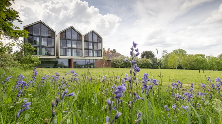  Back of Woodland Grange, large glass windows overlooking a green space with bluebells