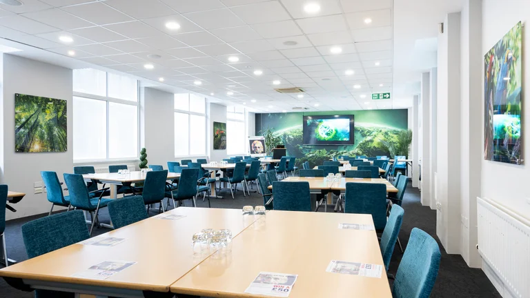 Medium Meeting room with rectangle desks and blue chairs with green design on walls and Screen on far wall