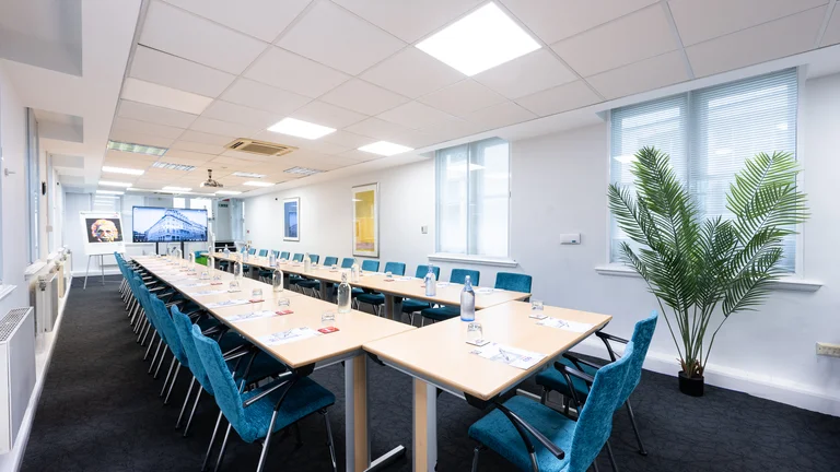 Large Boardroom meeting set up with screen for presenting and palm plant in the corner