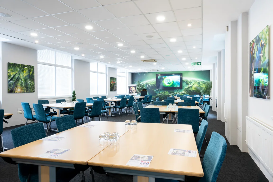 Medium Meeting room with rectangle desks and blue chairs with green design on walls and Screen on far wall